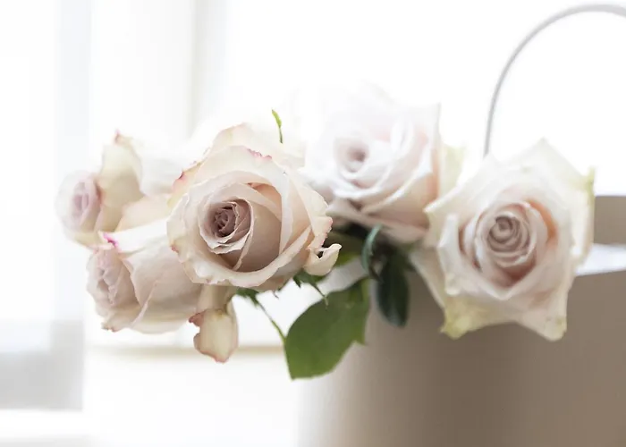 Sizzo Relais 住宿加早餐酒店 特伦托