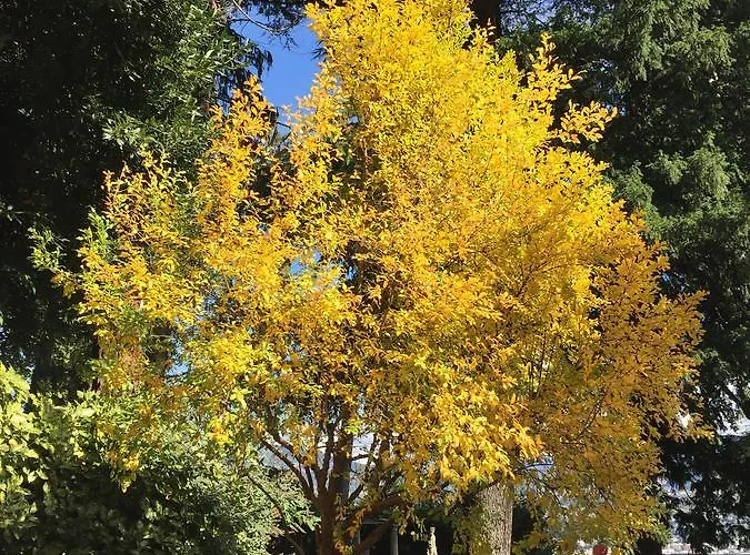 Villa Sizzo Relais B&B